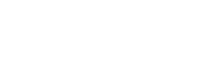 New College Logo